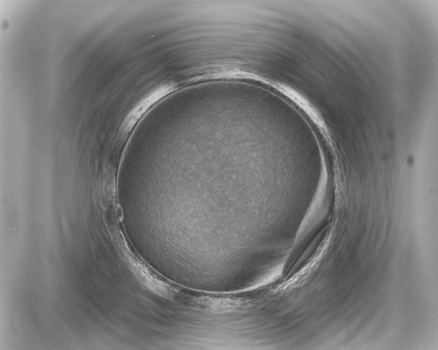 X0000087741289200705141215