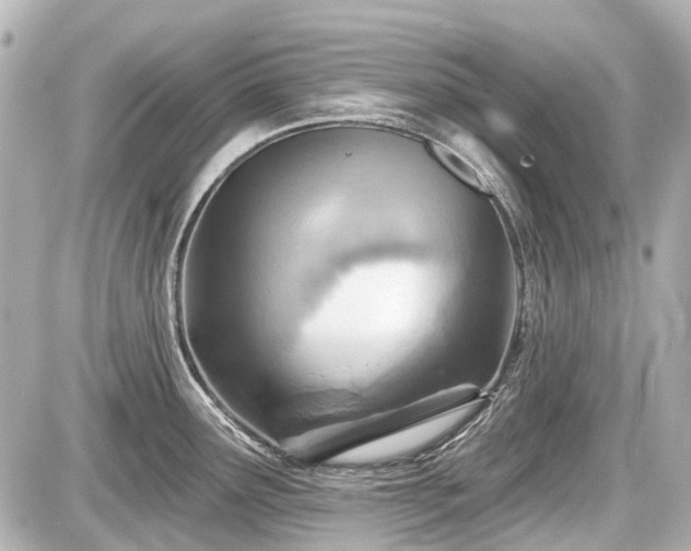 X0000087741291200705141215