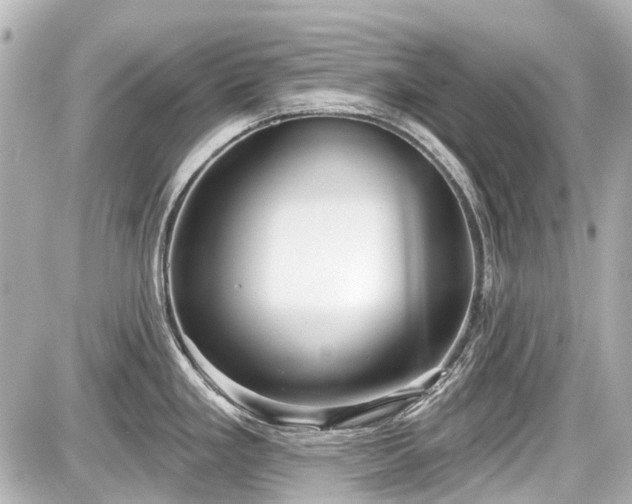X0000087741293200705141215