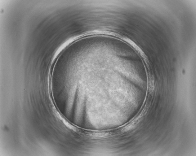 X0000087741294200705141215