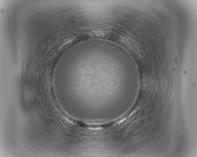 X0000087741297200705141215