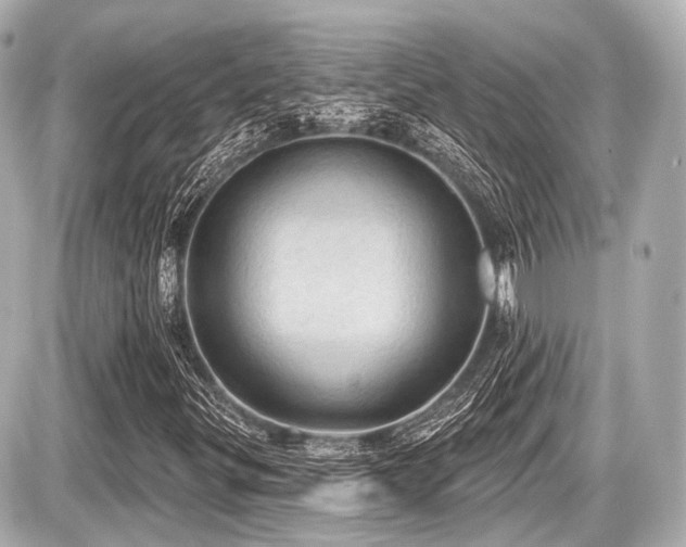 X0000087741299200705141215