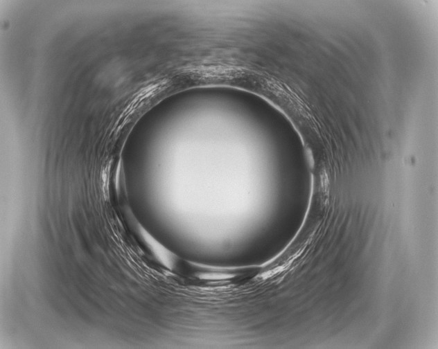 X0000087741300200705141215