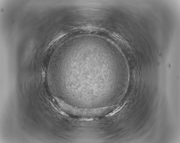 X0000087741302200705141215