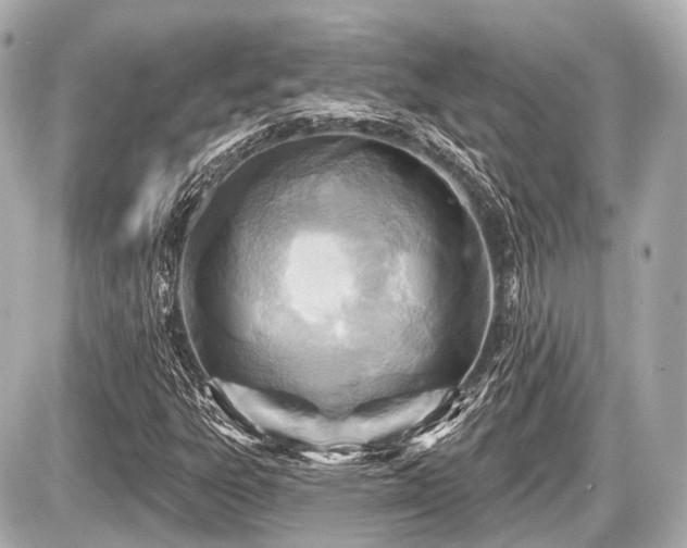 X0000087741303200705141215