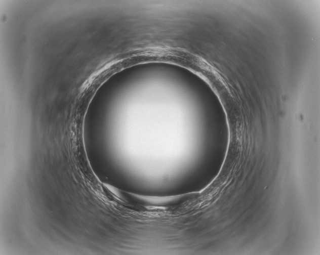 X0000087741304200705141215