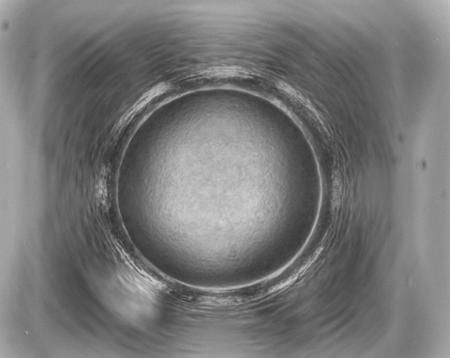 X0000087741305200705141215