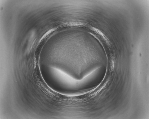 X0000087741306200705141215
