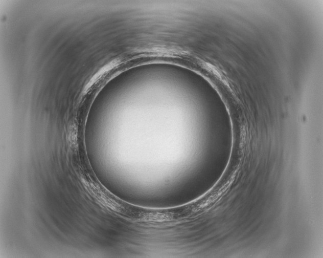 X0000087741307200705141215