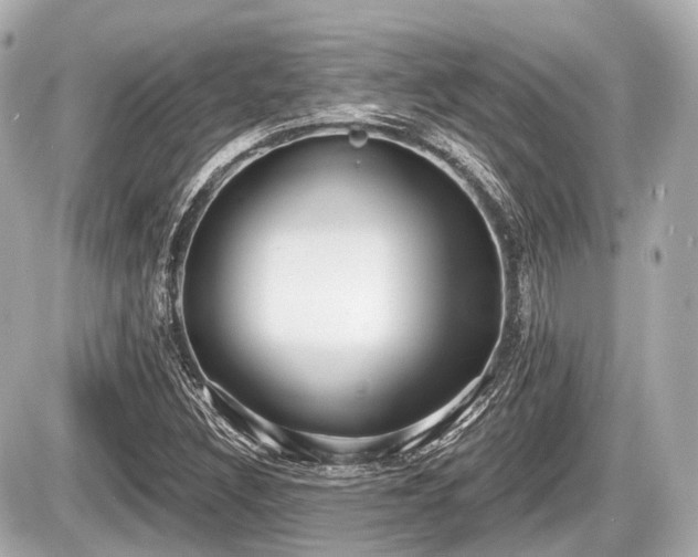 X0000087741308200705141215