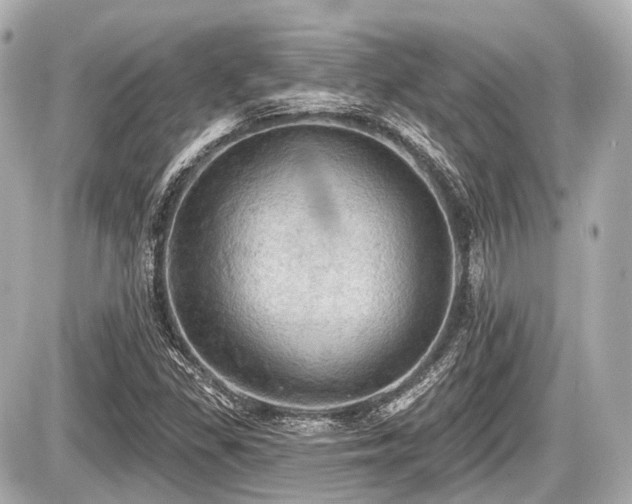 X0000087741309200705141215