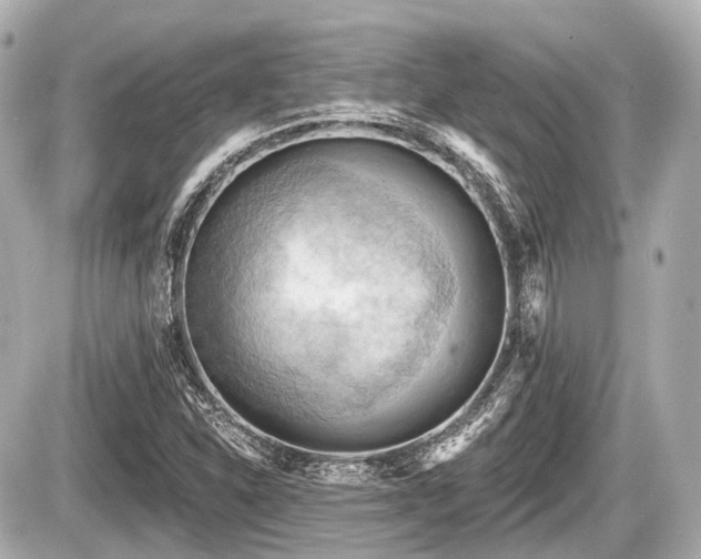 X0000087741310200705141215