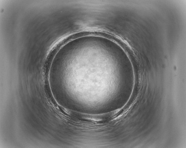 X0000087741311200705141215
