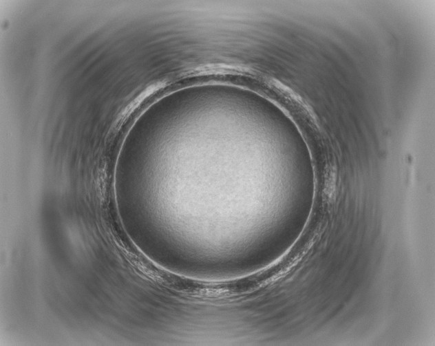 X0000087741313200705141215