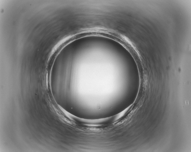 X0000087741320200705141215