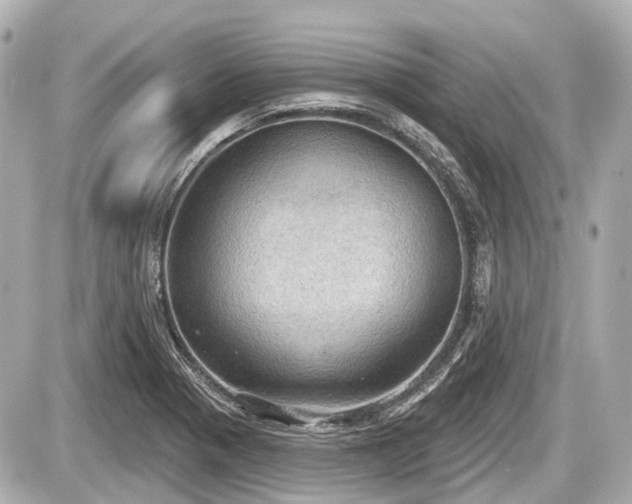X0000087741321200705141215