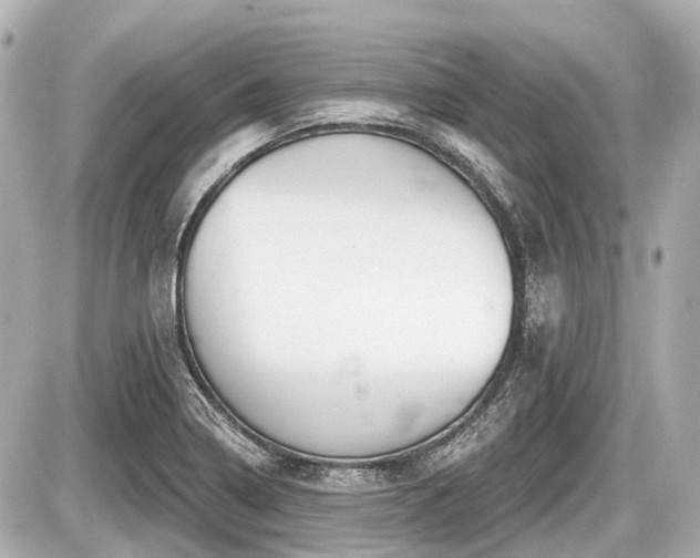 X0000087741322200705141215