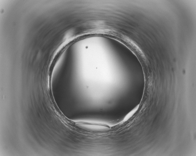 X0000087741324200705141215