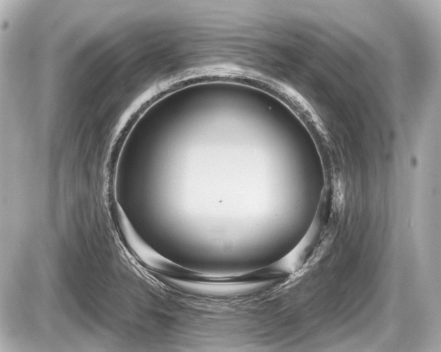 X0000087741326200705141215