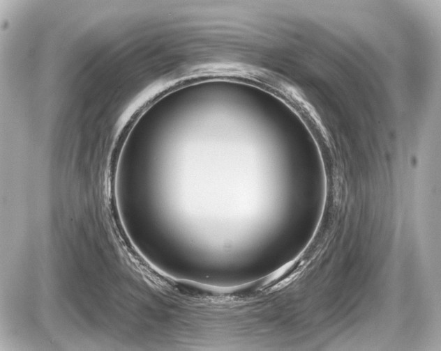 X0000087741328200705141215