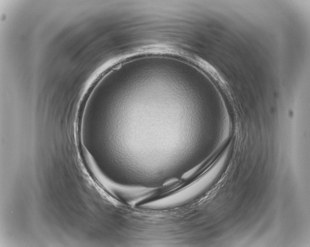 X0000087741334200705141215