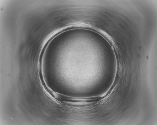 X0000087741335200705141215