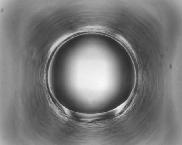 X0000087741336200705141215
