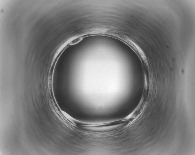 X0000087741340200705141215