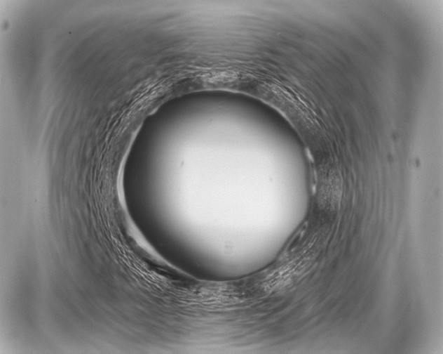 X0000087741345200705141215