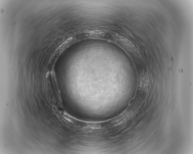 X0000087741346200705141215