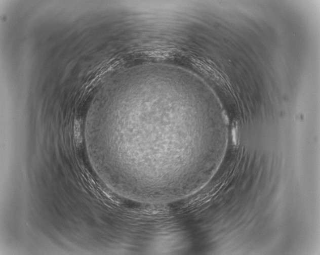 X0000087741347200705141215