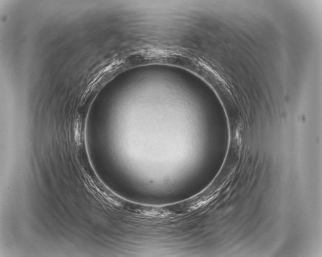 X0000087741348200705141215
