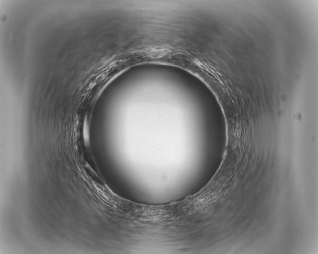 X0000087741349200705141214