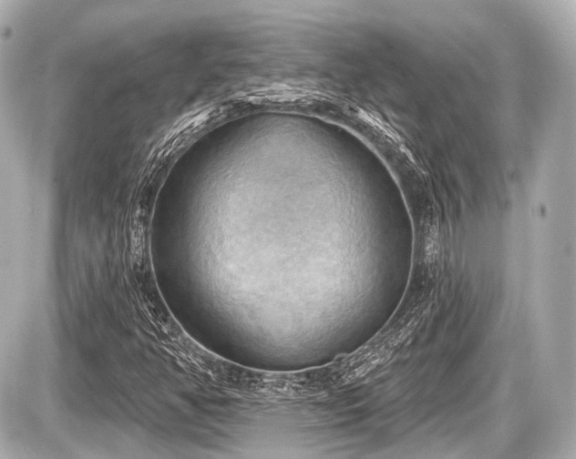 X0000087741350200705141214