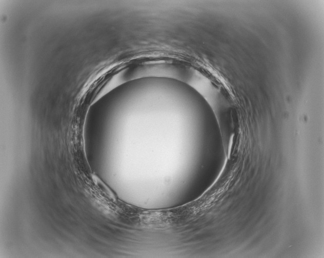 X0000087741352200705141214