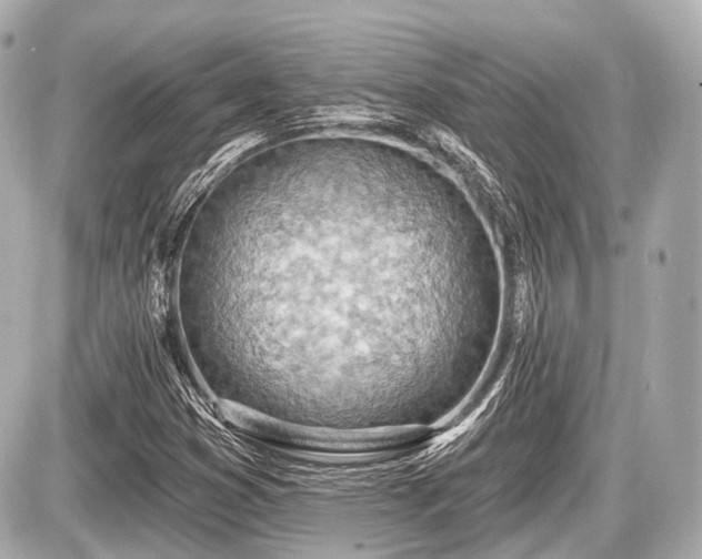 X0000087741353200705141214