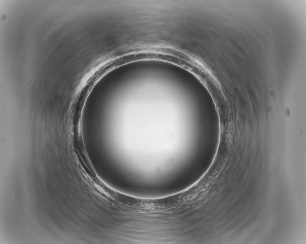 X0000087741360200705141214