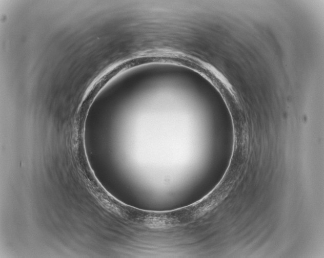 X0000087741364200705141214