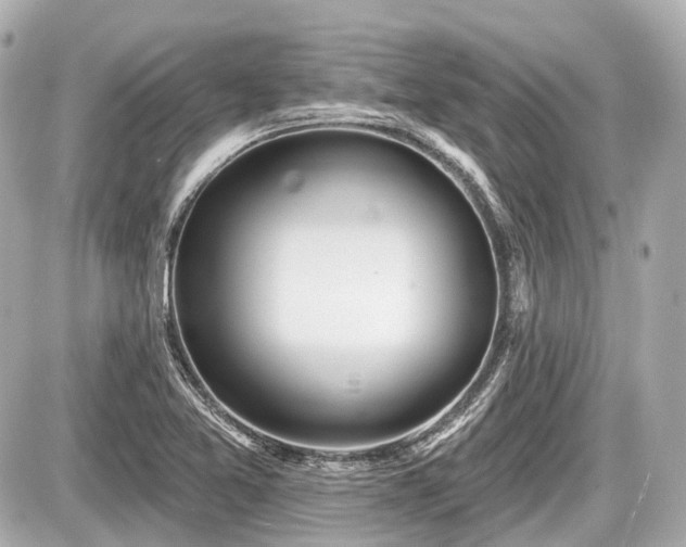 X0000087741365200705141214