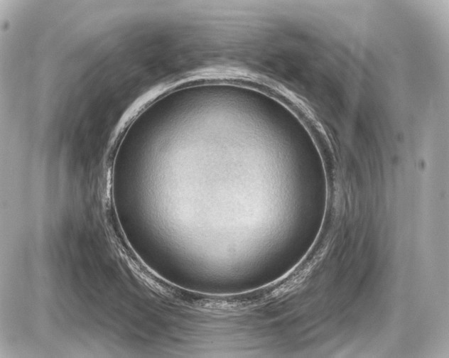 X0000087741366200705141214