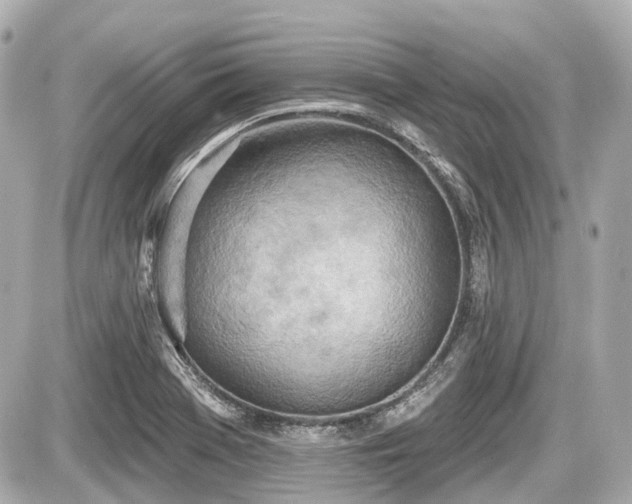 X0000087741369200705141214