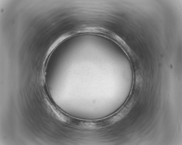 X0000087741370200705141214