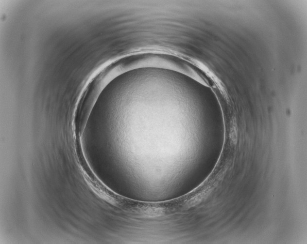 X0000087741372200705141214