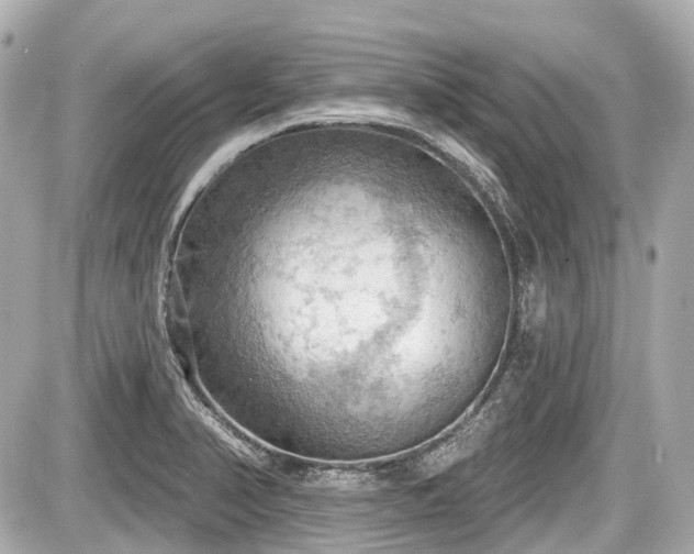 X0000087741374200705141214