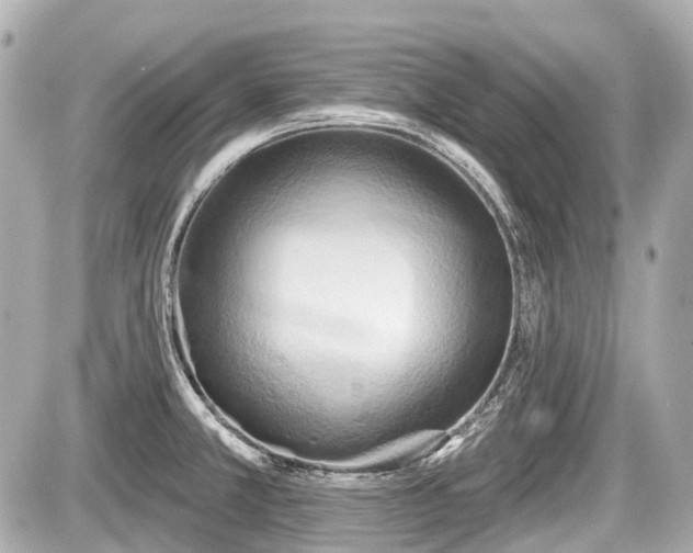 X0000087741381200705141214