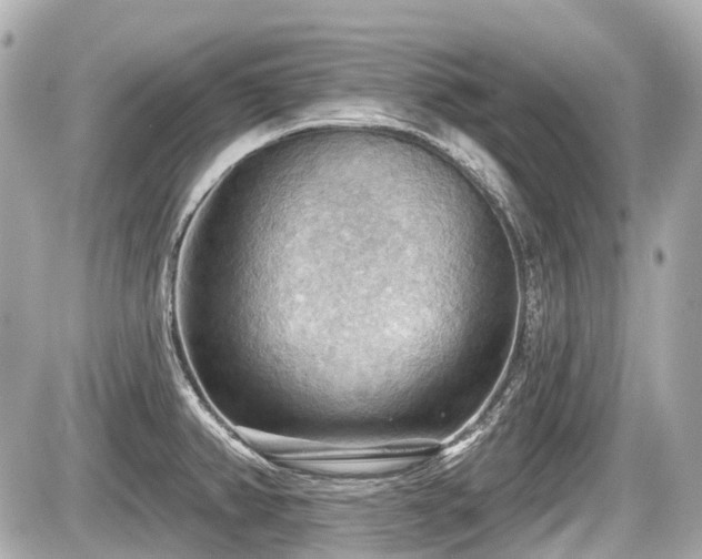 X0000087741382200705141214