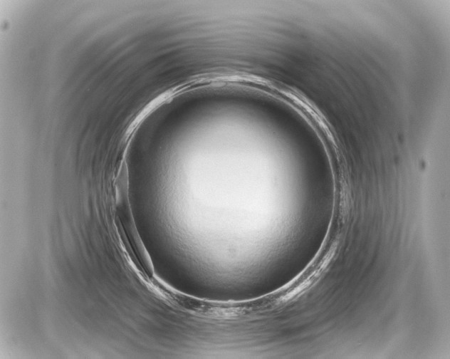 X0000087741385200705141214