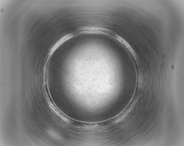 X0000087741386200705141214