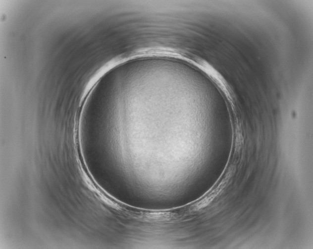X0000087741390200705141214
