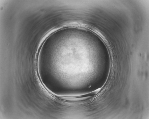 X0000087741392200705141214